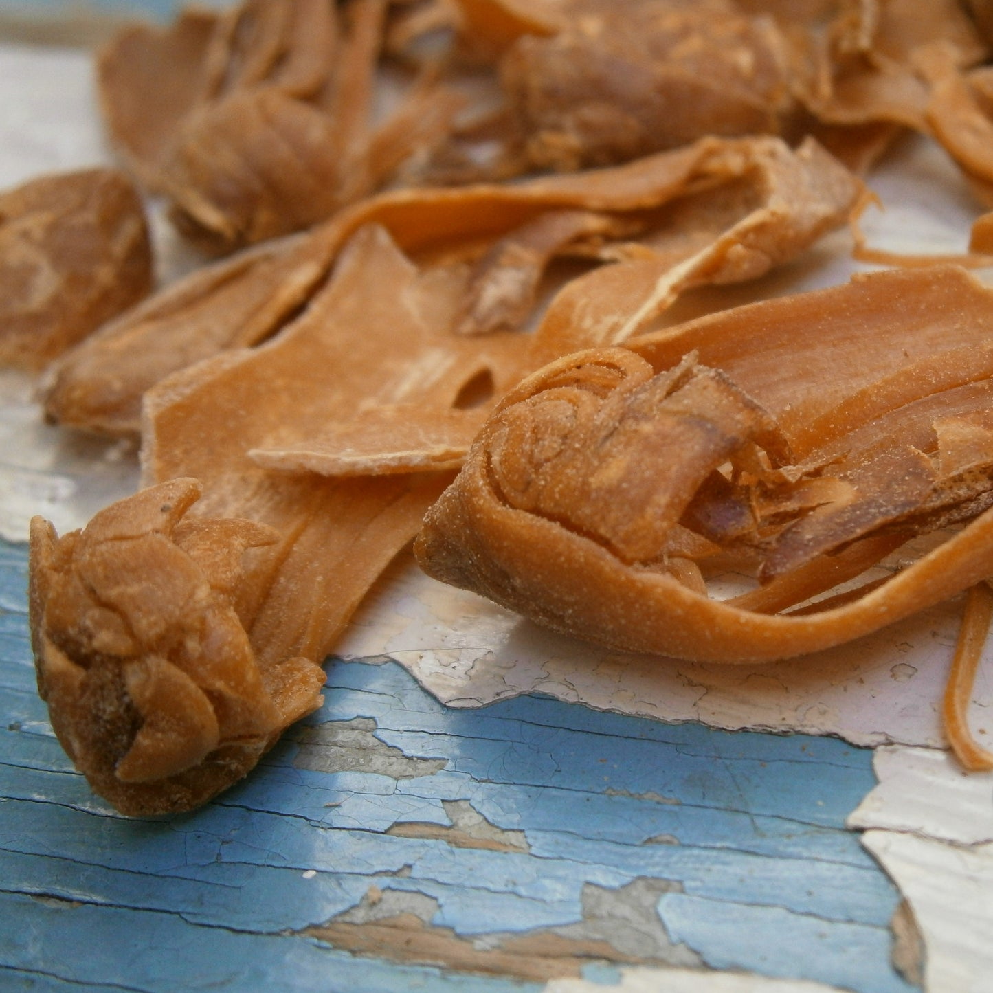 Buzogány (Molucca-szigetek) - 30 g