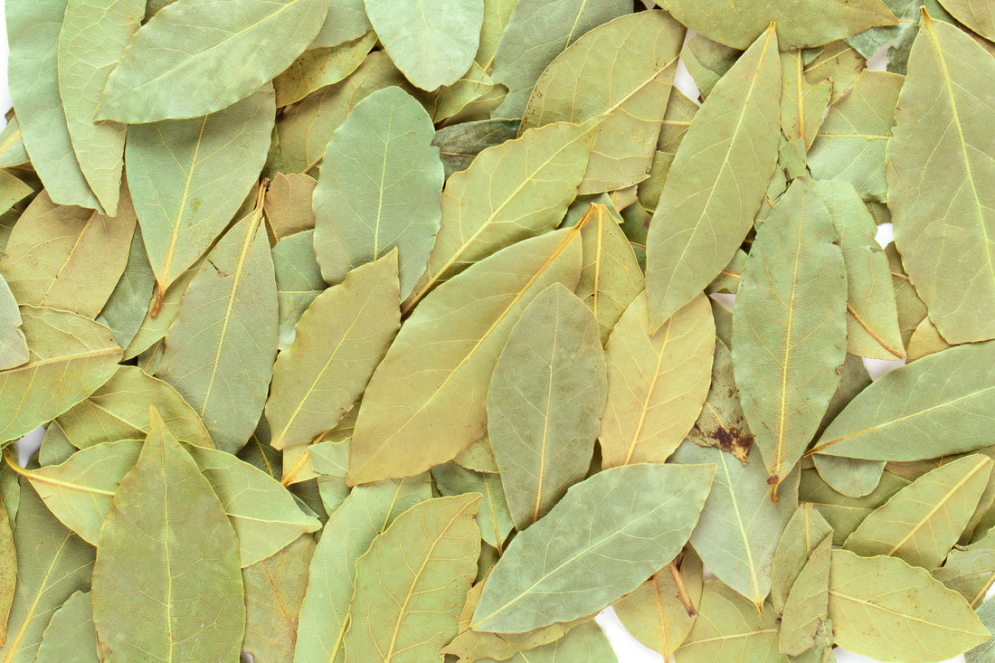 Babérlevél: Az Alapvető Fűszer a Mély és Gazdag Ízekért