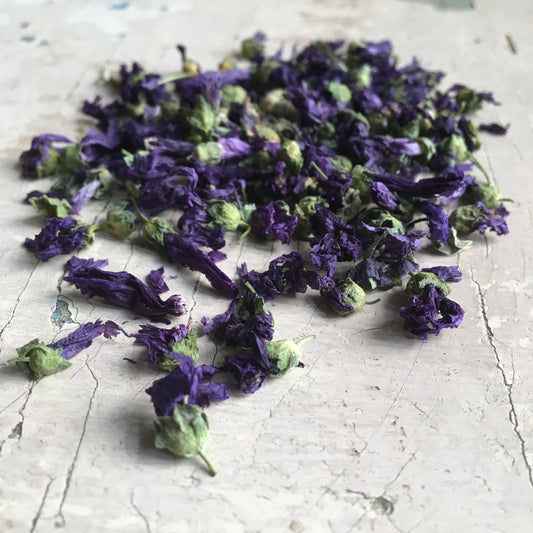 Mályva színű virágok - 30 g