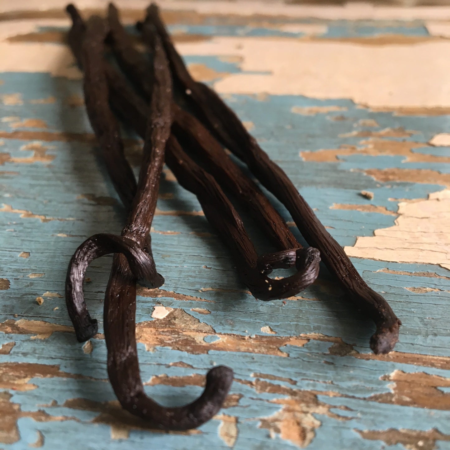 Bourbon vanília (Madagaszkár) - 5 g