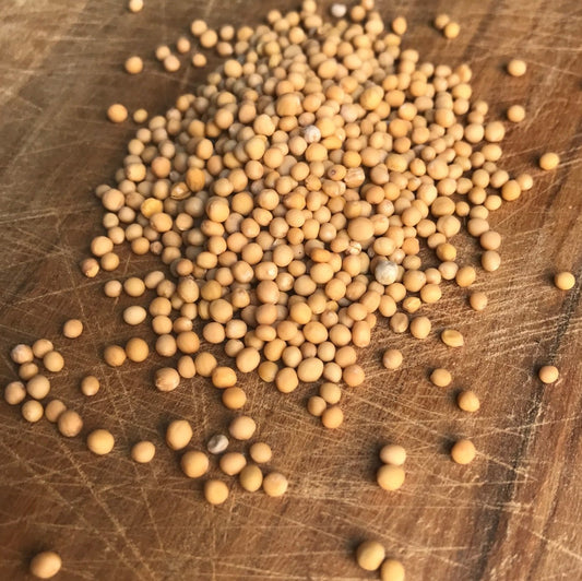 Sárga mustármag (Ázsia, Európa) - 30 g