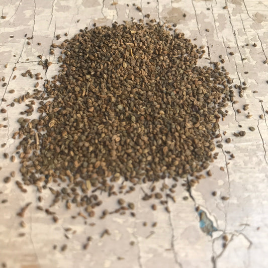 Hegyi zeller gyümölcsök – Lovage (Közel-Kelet) - 30g