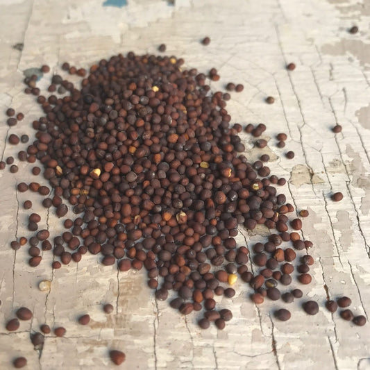 Fekete mustármag (Ázsia, Európa) - 30 g